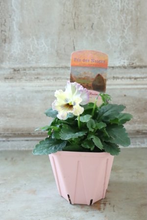 画像4: Fee des neiges~Monet Meules~ "フェデネージュ ~モネ 積みわら~" No.84