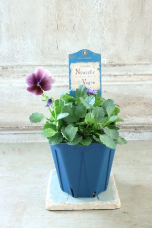 画像4: Nouvelle Vague〜ヌーヴェルヴァーグ〜 No.223