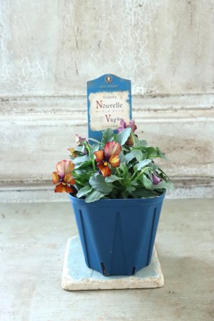 画像4: Nouvelle Vague〜ヌーヴェルヴァーグ〜 No.224