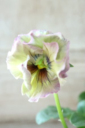 画像3: Fee des neiges~Monet Meules~ "フェデネージュ ~モネ 積みわら~" No.96