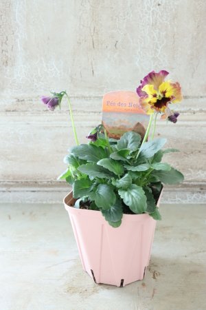 画像4: Fee des neiges~Monet Meules~ "フェデネージュ ~モネ 積みわら~" No.95