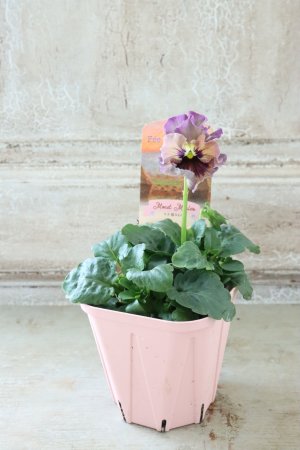 画像4: Fee des neiges~Monet Meules~ "フェデネージュ ~モネ 積みわら~" No.91