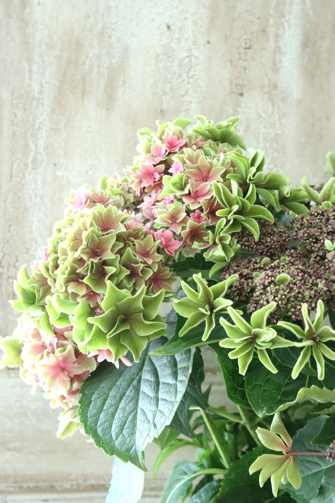 アネモネ様専用&秋色紫陽花とピンク系小花ラウンドリース